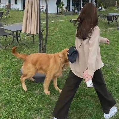 荒村阿狗